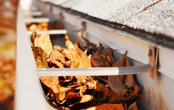 Meare Green gutter cleaning companies